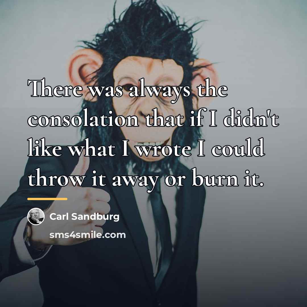 “There was always the consolation that if I didn't like…” quote by Carl Sandburg