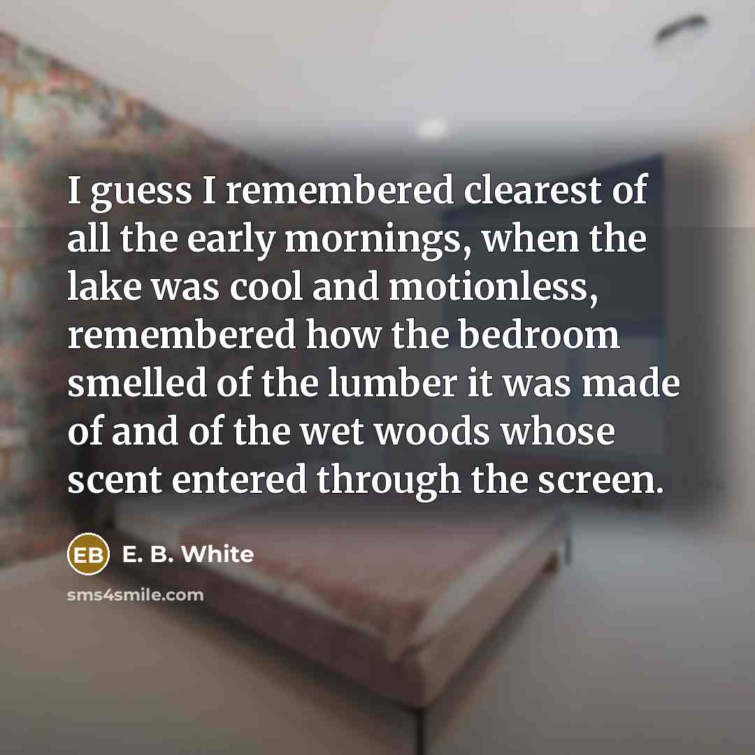 “I guess I remembered clearest of all the early mornings,…” quote by E. B. White