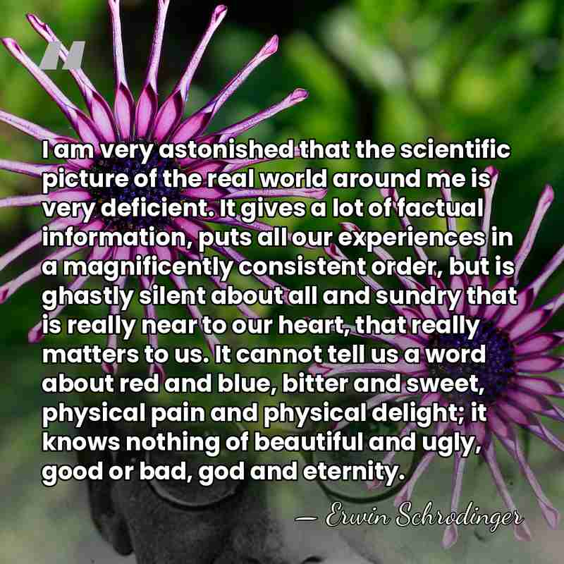 I am very astonished that the scientific picture of the real world&hellip; - Erwin Schrodinger