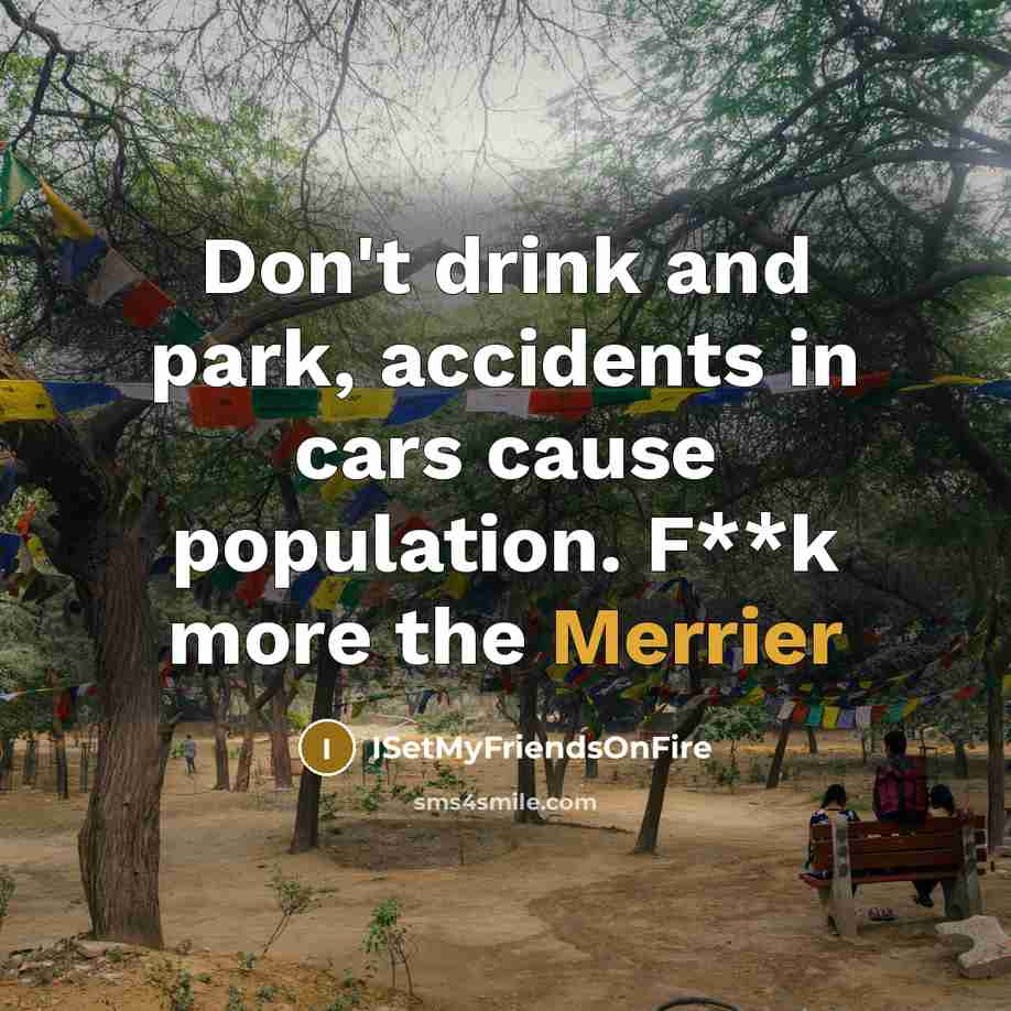 “Don't drink and park, accidents in cars cause population. F**k more the Merrier” quote by ISetMyFriendsOnFire