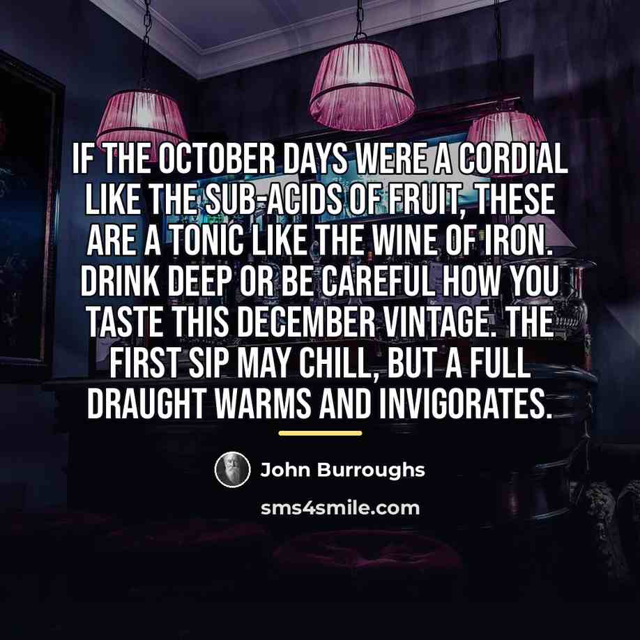 “If the October days were a cordial like the sub-acids…” quote by John Burroughs