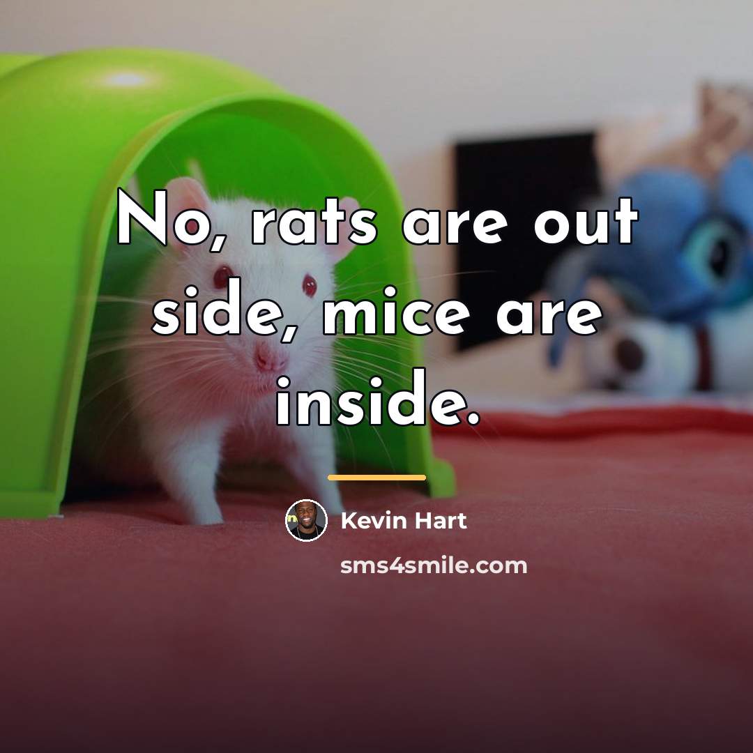 “No, rats are out side, mice are inside.…” quote by Kevin Hart