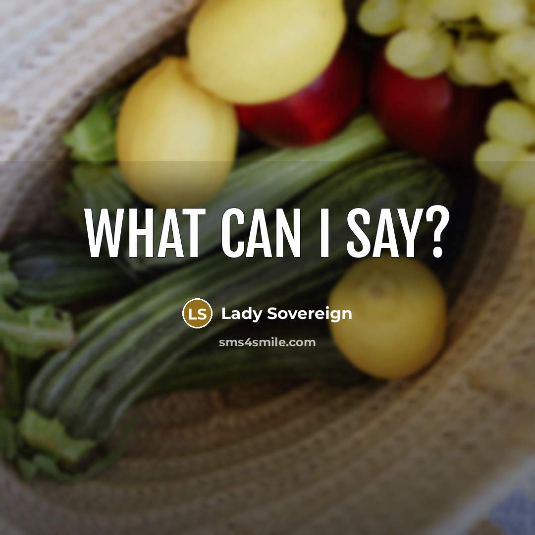 “What can I say?…” quote by Lady Sovereign