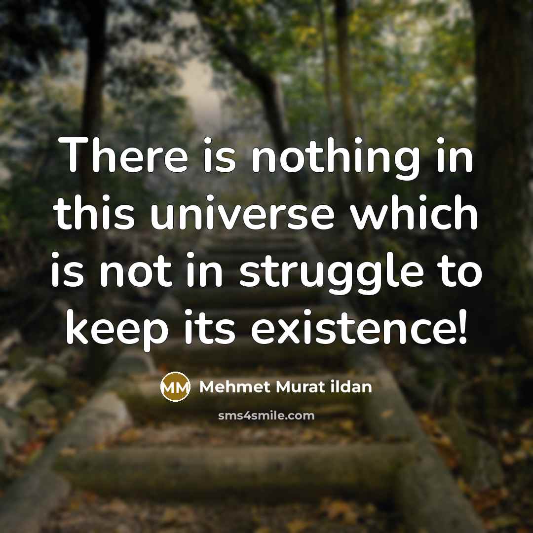 “There is nothing in this universe which is not in…” quote by Mehmet Murat Ildan