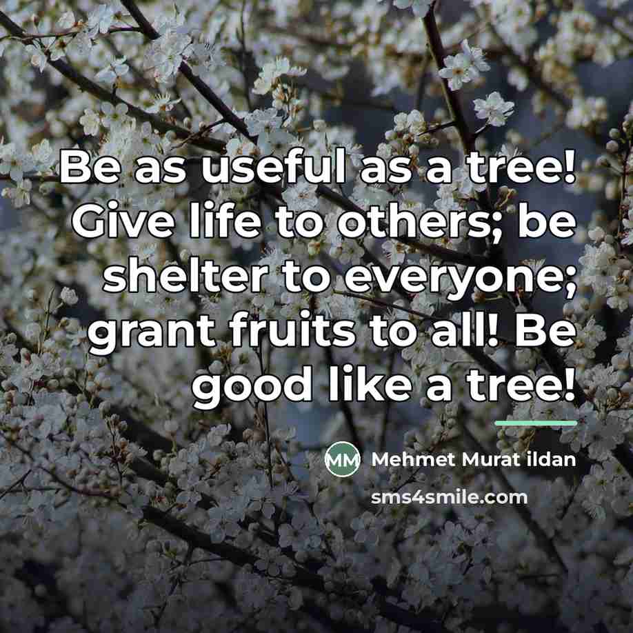 “Be as useful as a tree! Give life to others;…” quote by Mehmet Murat Ildan