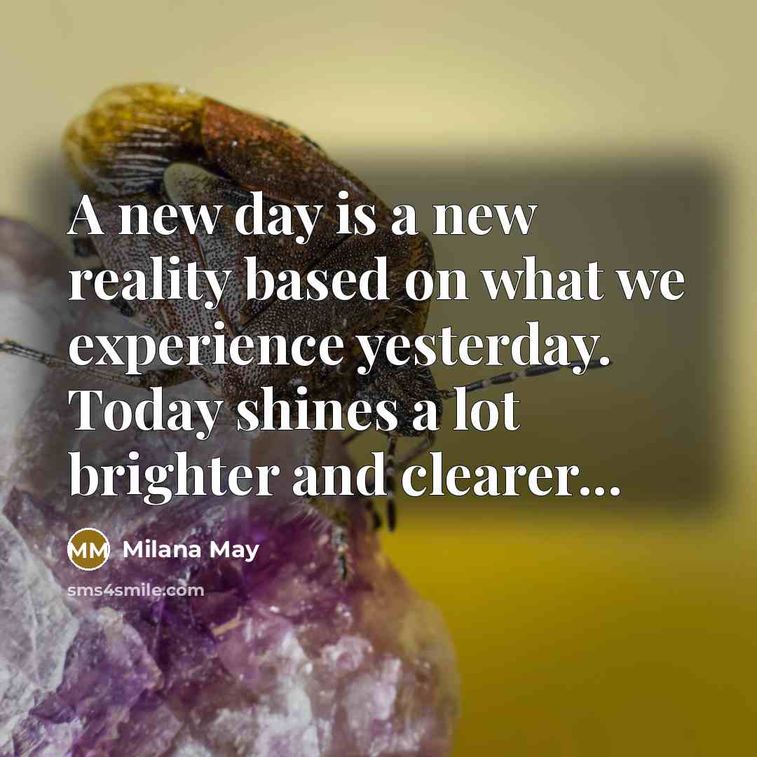 “A new day is a new reality based on what…” quote by Milana May