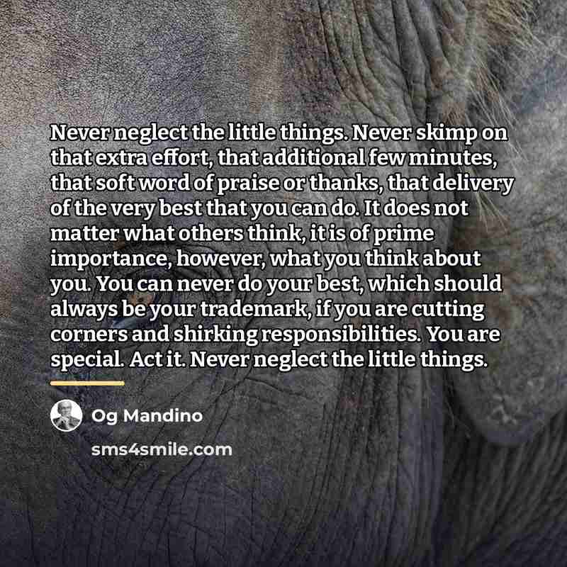 “Never neglect the little things. Never skimp on that extra…” quote by Og Mandino