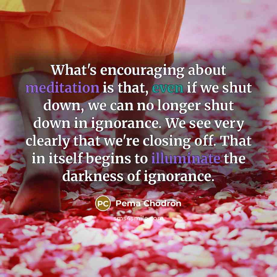 “What's encouraging about meditation is that, even if we shut…” quote by Pema Chodron