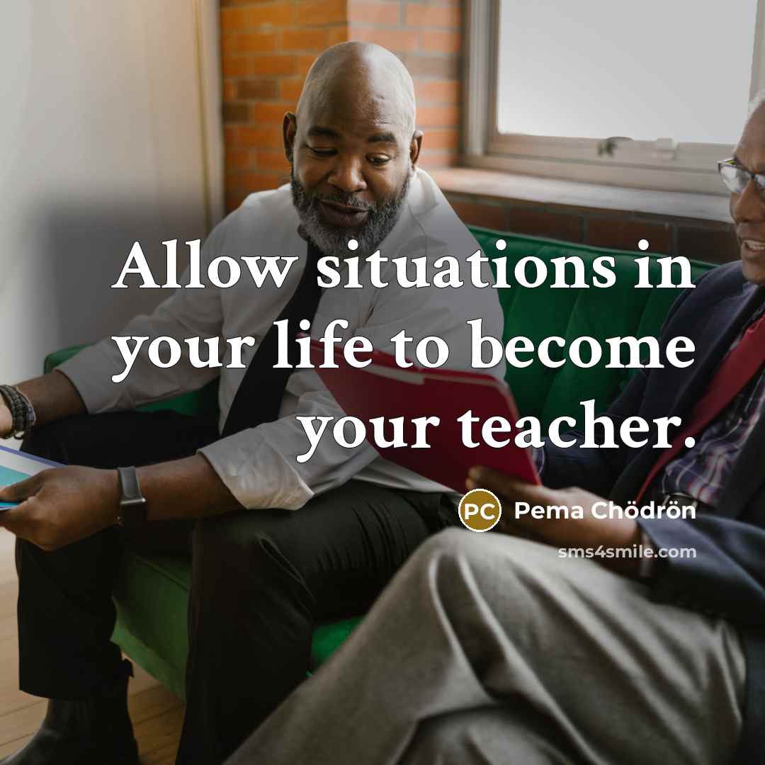 “Allow situations in your life to become your teacher.…” quote by Pema Chodron