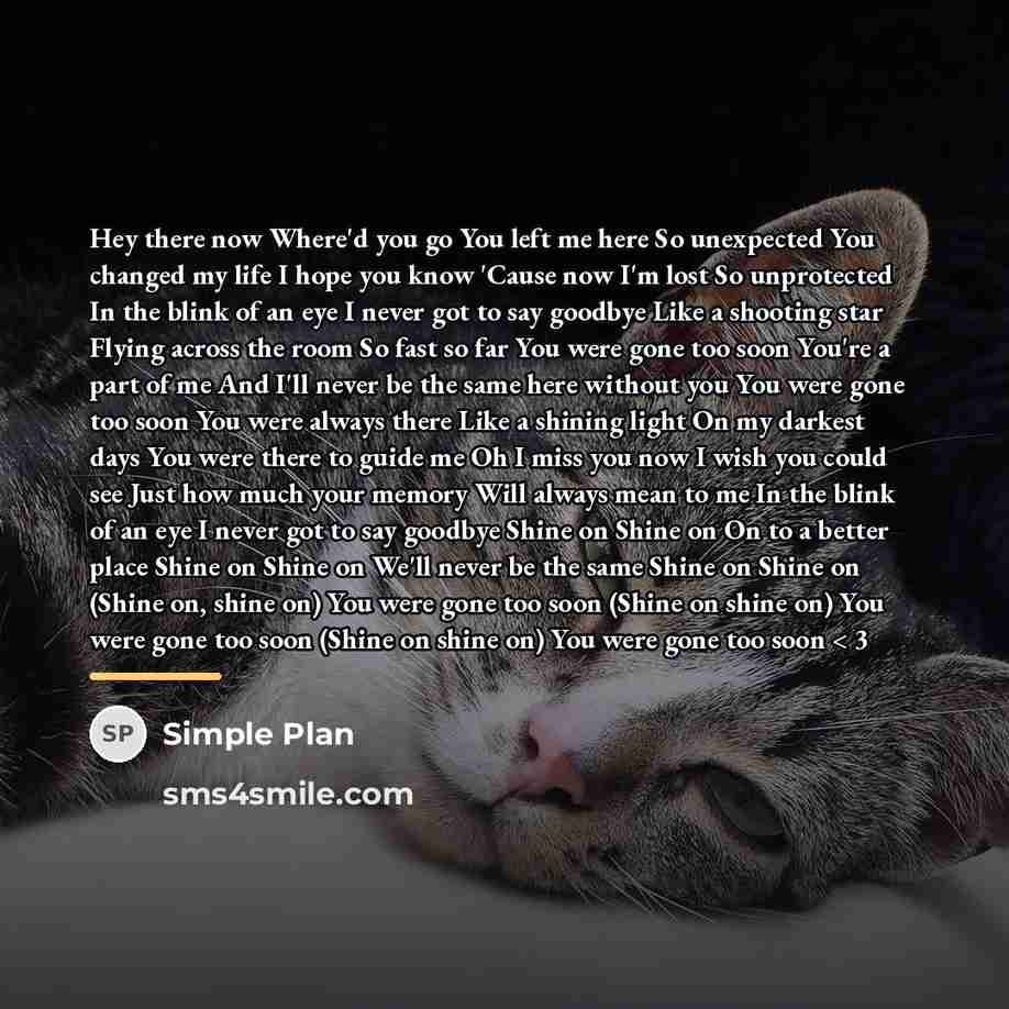 “Hey there now Where'd you go You left me here…” quote by Simple Plan