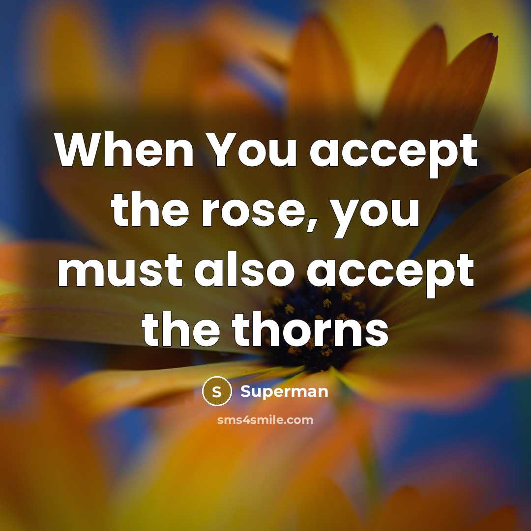 “When You accept the rose, you must also accept the…” quote by Superman