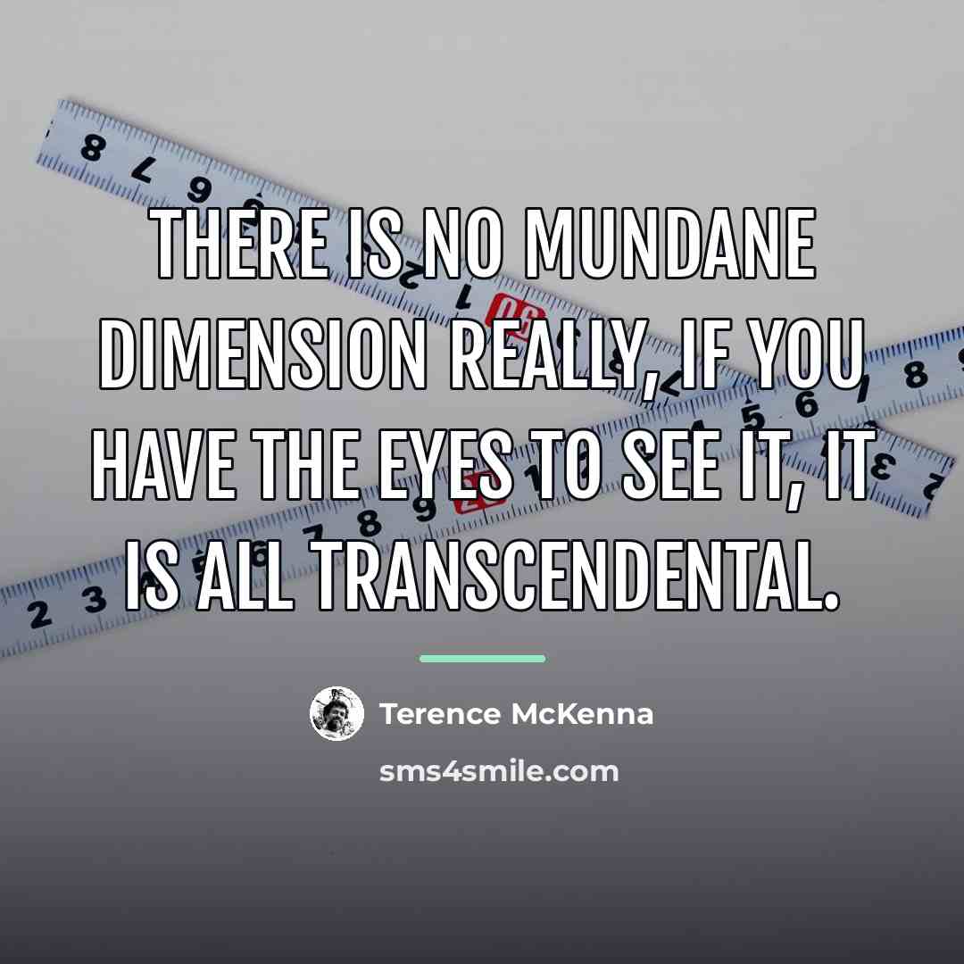 “There is no mundane dimension really, if you have the…” quote by Terence McKenna