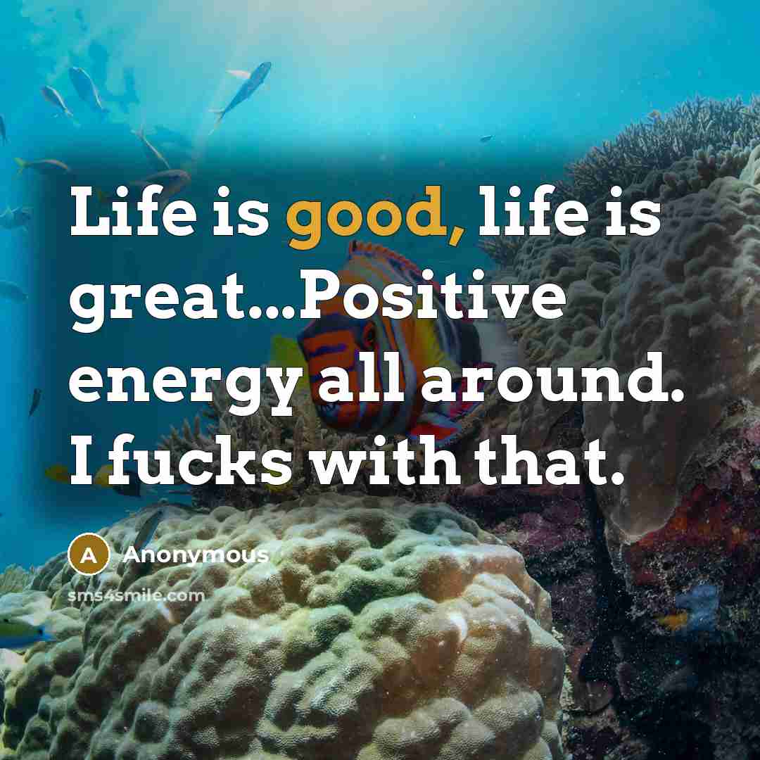 “Life is good, life is great...Positive energy all around. I fucks with that.” quote by Anonymous