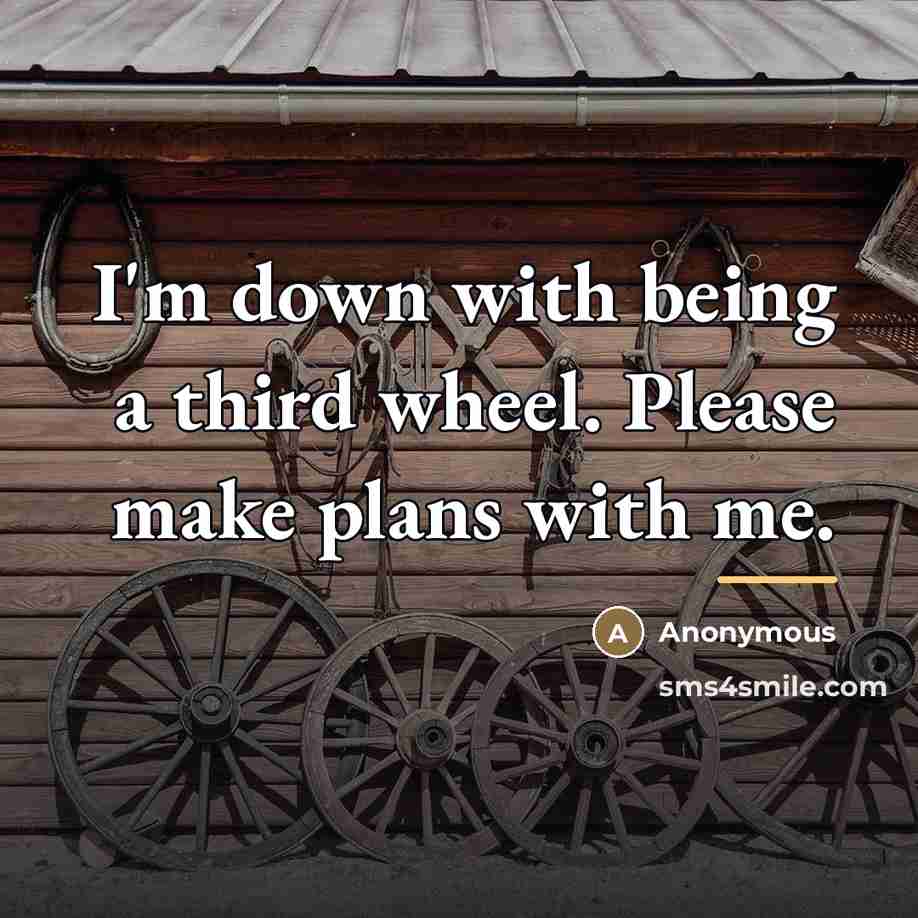 “I'm down with being a third wheel. Please make plans…” quote by Anonymous
