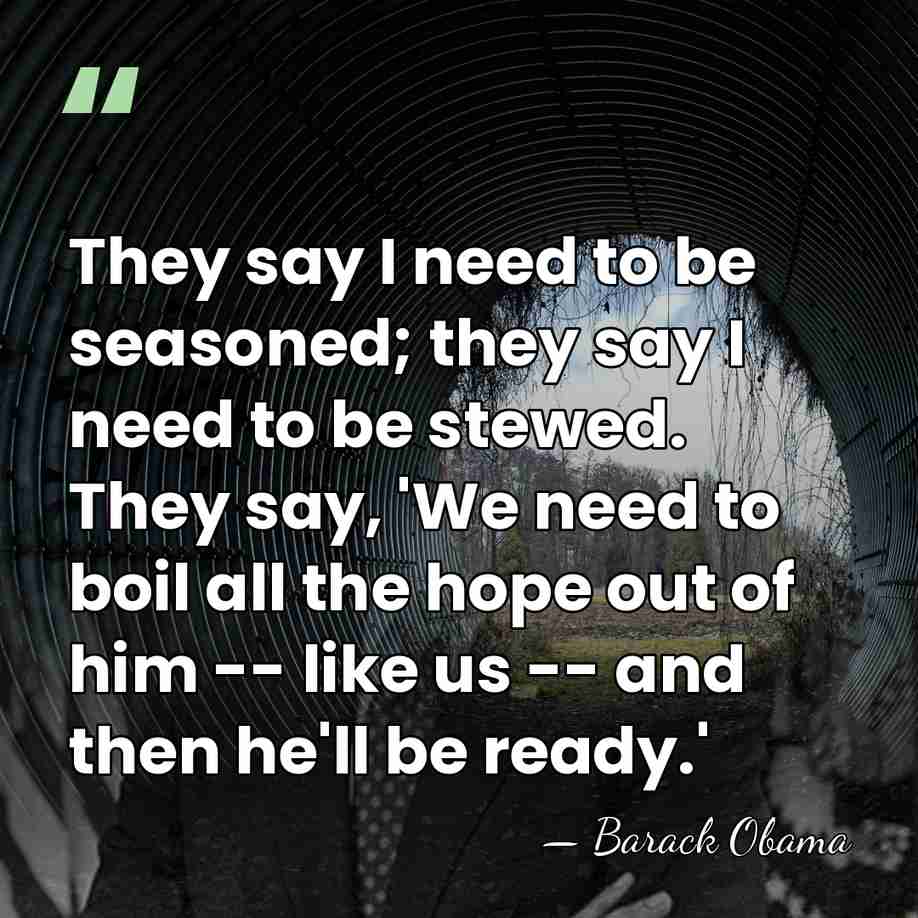 They say I need to be seasoned; they say I need to&hellip; - Barack Obama