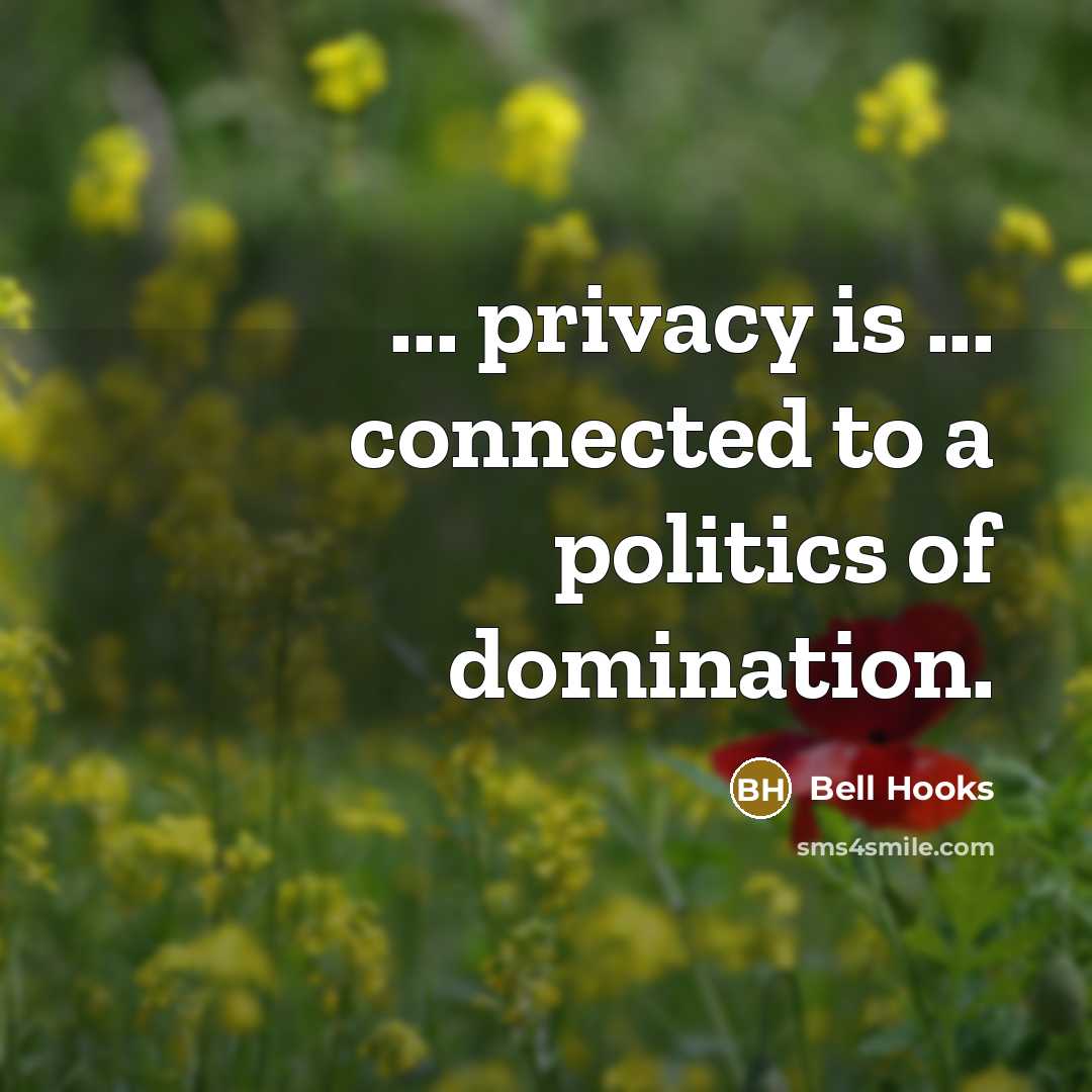“... privacy is ... connected to a politics of domination.…” quote by Bell Hooks