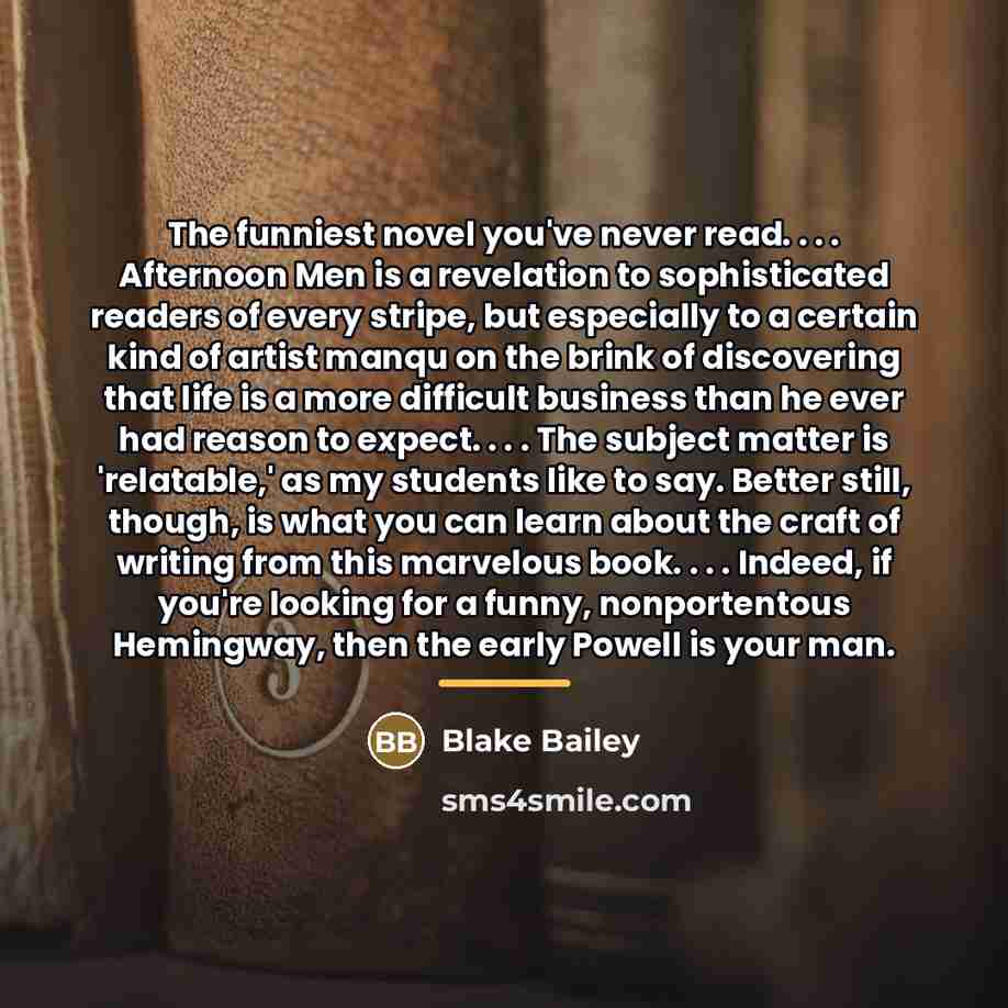 “The funniest novel you've never read. . . . Afternoon…” quote by Blake Bailey