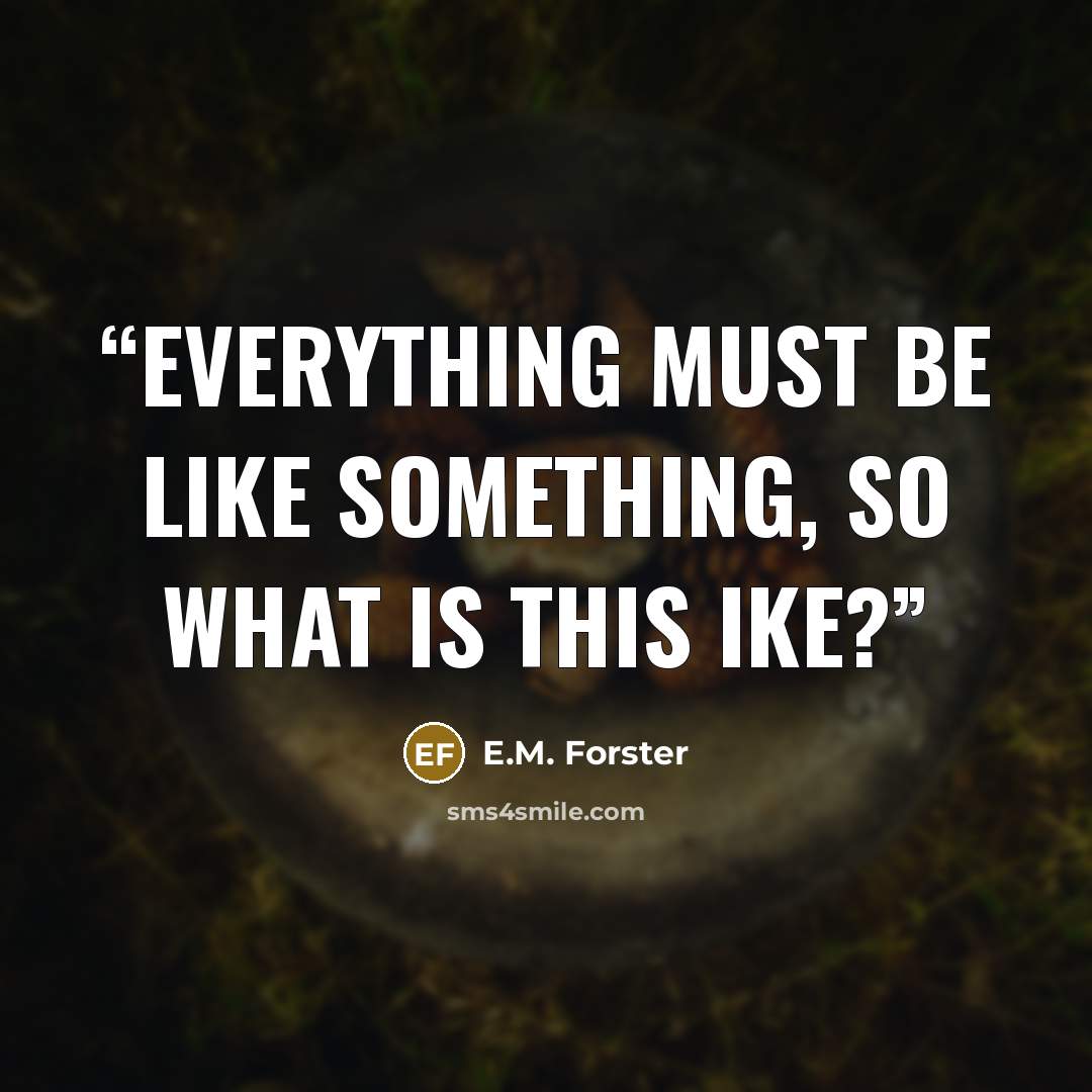 “Everything must be like something, so what is this ike?” quote by E.M. Forster