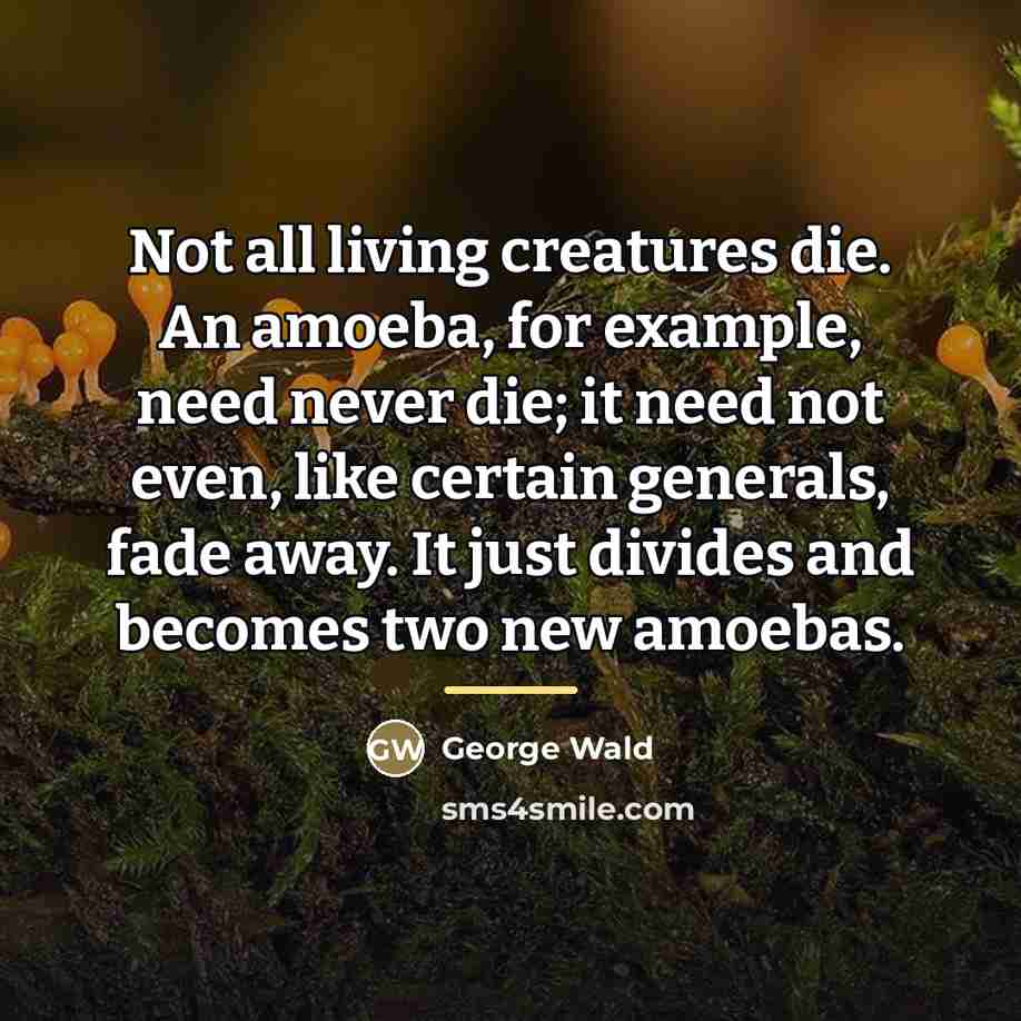 “Not all living creatures die. An amoeba, for example, need…” quote by George Wald