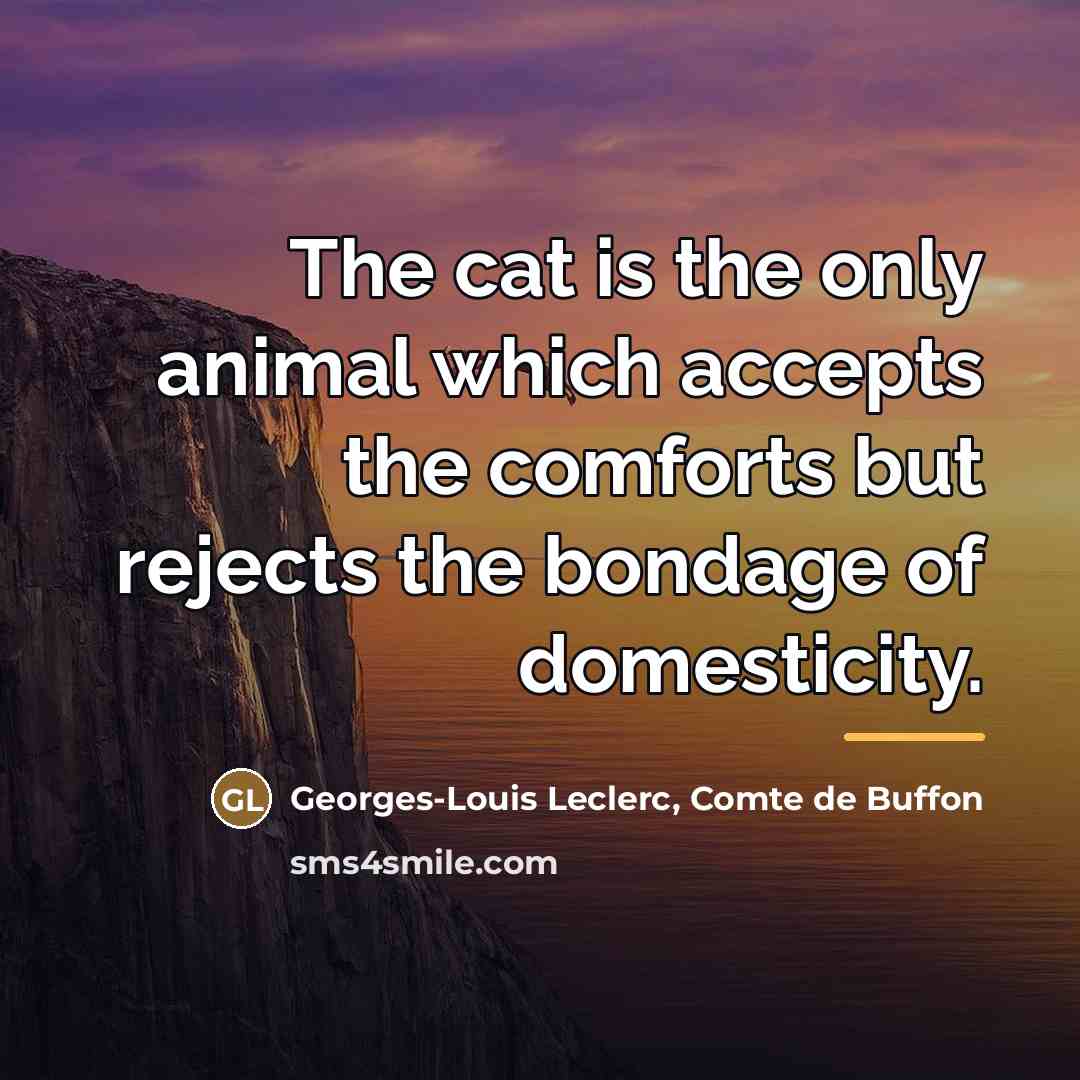 “The cat is the only animal which accepts the comforts…” quote by Georges-Louis Leclerc, Comte de Buffon