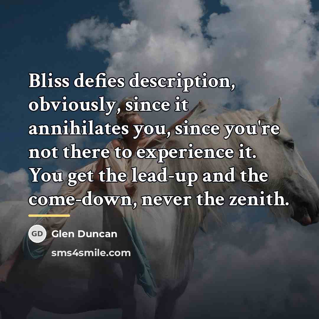 “Bliss defies description, obviously, since it annihilates you, since you're…” quote by Glen Duncan