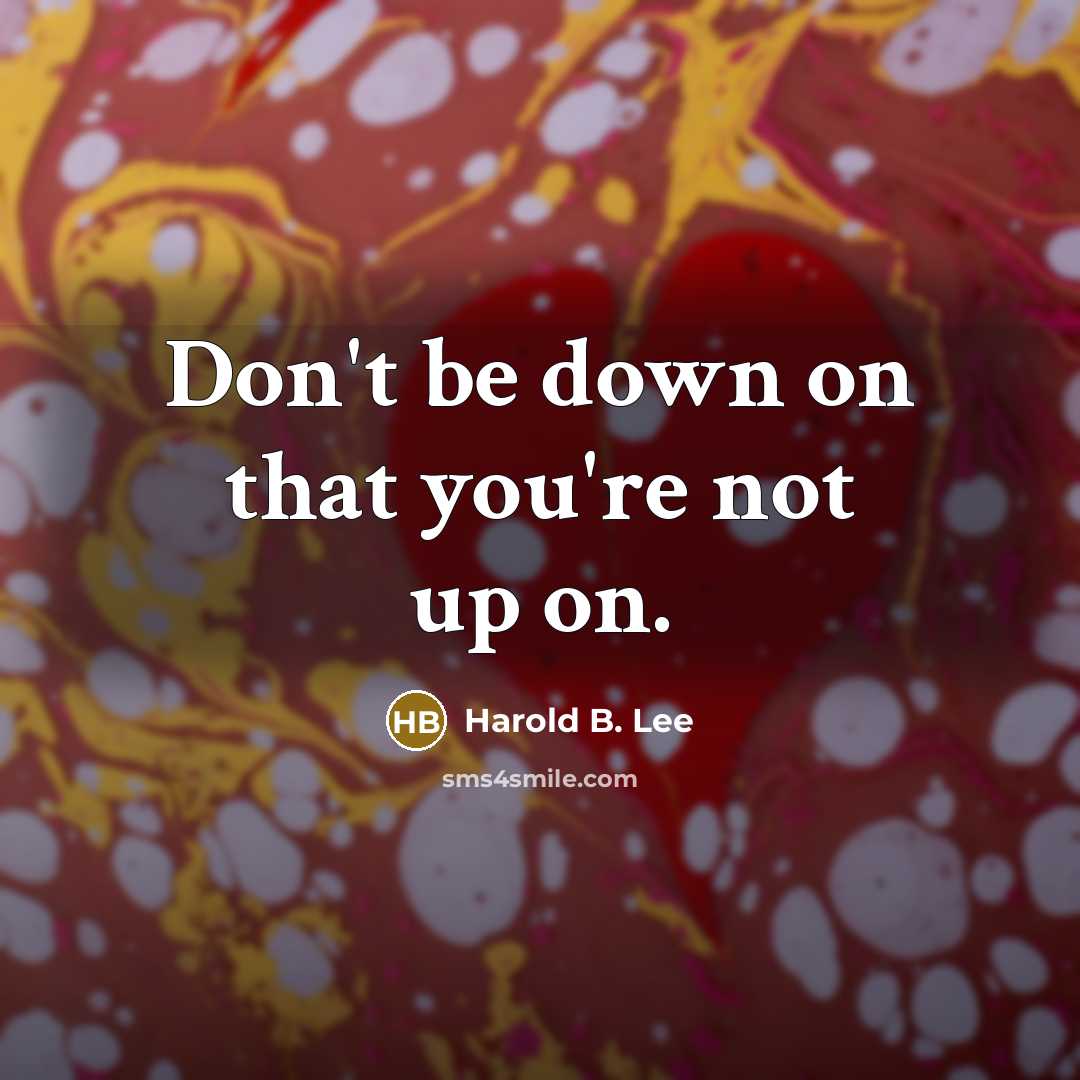 “Don't be down on that you're not up on.…” quote by Harold B. Lee