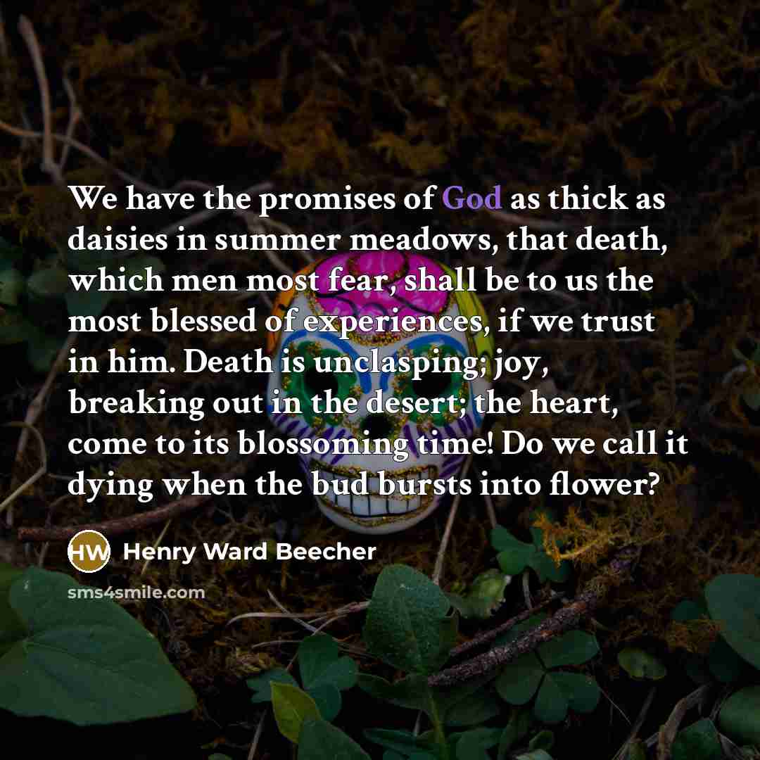 “We have the promises of God as thick as daisies…” quote by Henry Ward Beecher