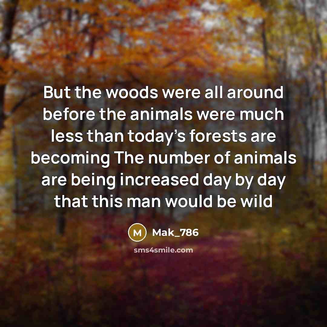 “But the woods were all around before the animals were…” quote by Mak_786