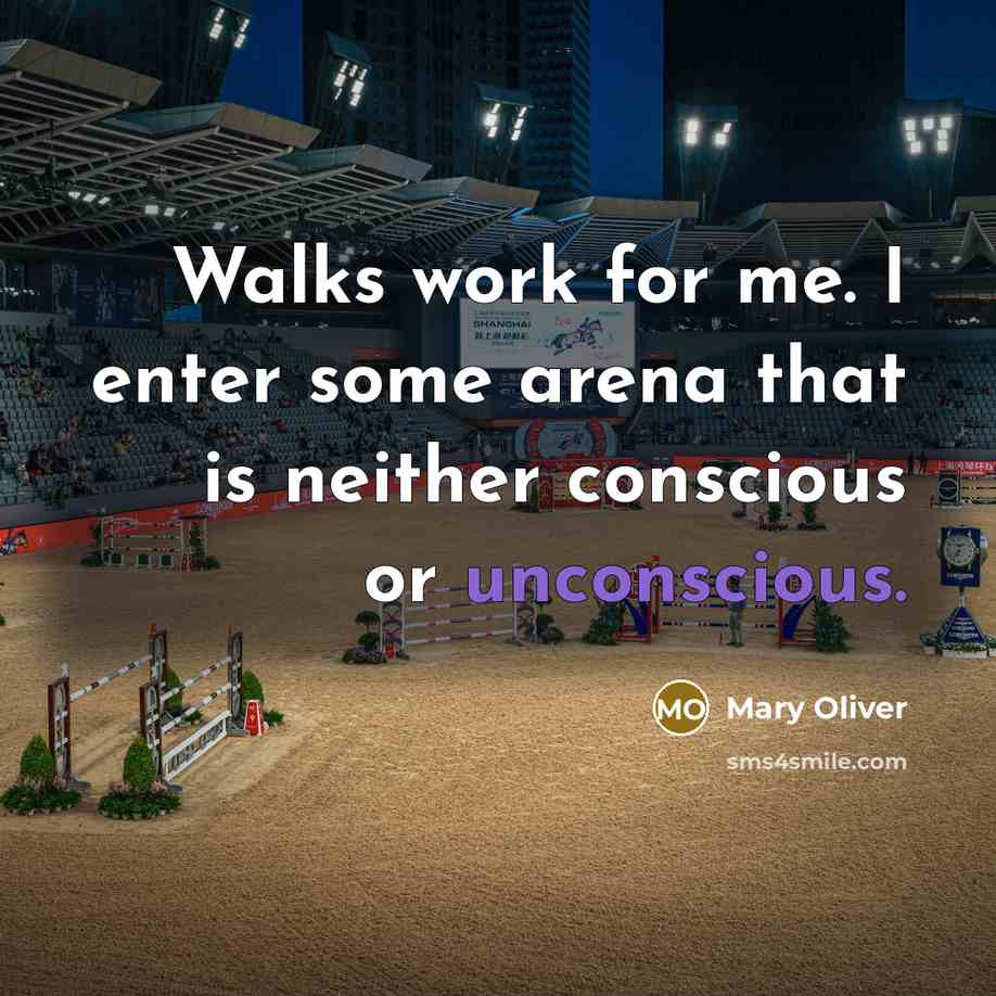 “Walks work for me. I enter some arena that is…” quote by Mary Oliver