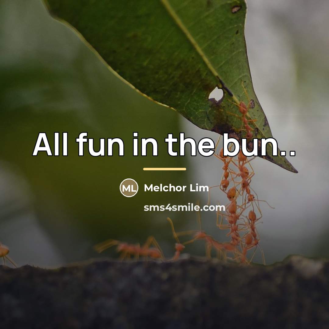 “All fun in the bun..…” quote by Melchor Lim