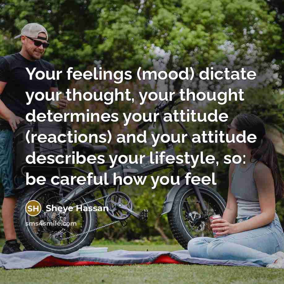“Your feelings (mood) dictate your thought, your thought determines your attitude (reactions) and your attitude describes your lifestyle, so: be careful how you feel” quote by Sheye Hassan