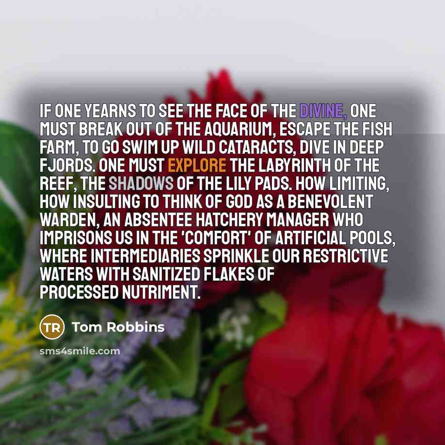 “If one yearns to see the face of the Divine,…” quote by Tom Robbins