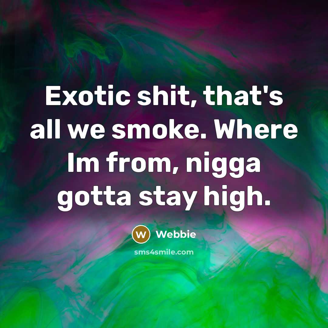 “Exotic shit, that's all we smoke. Where Im from, nigga gotta stay high.” quote by Webbie