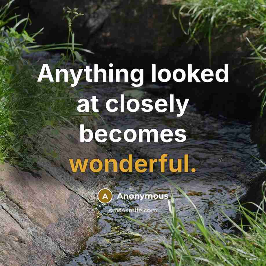 “Anything looked at closely becomes wonderful.” quote by Anonymous