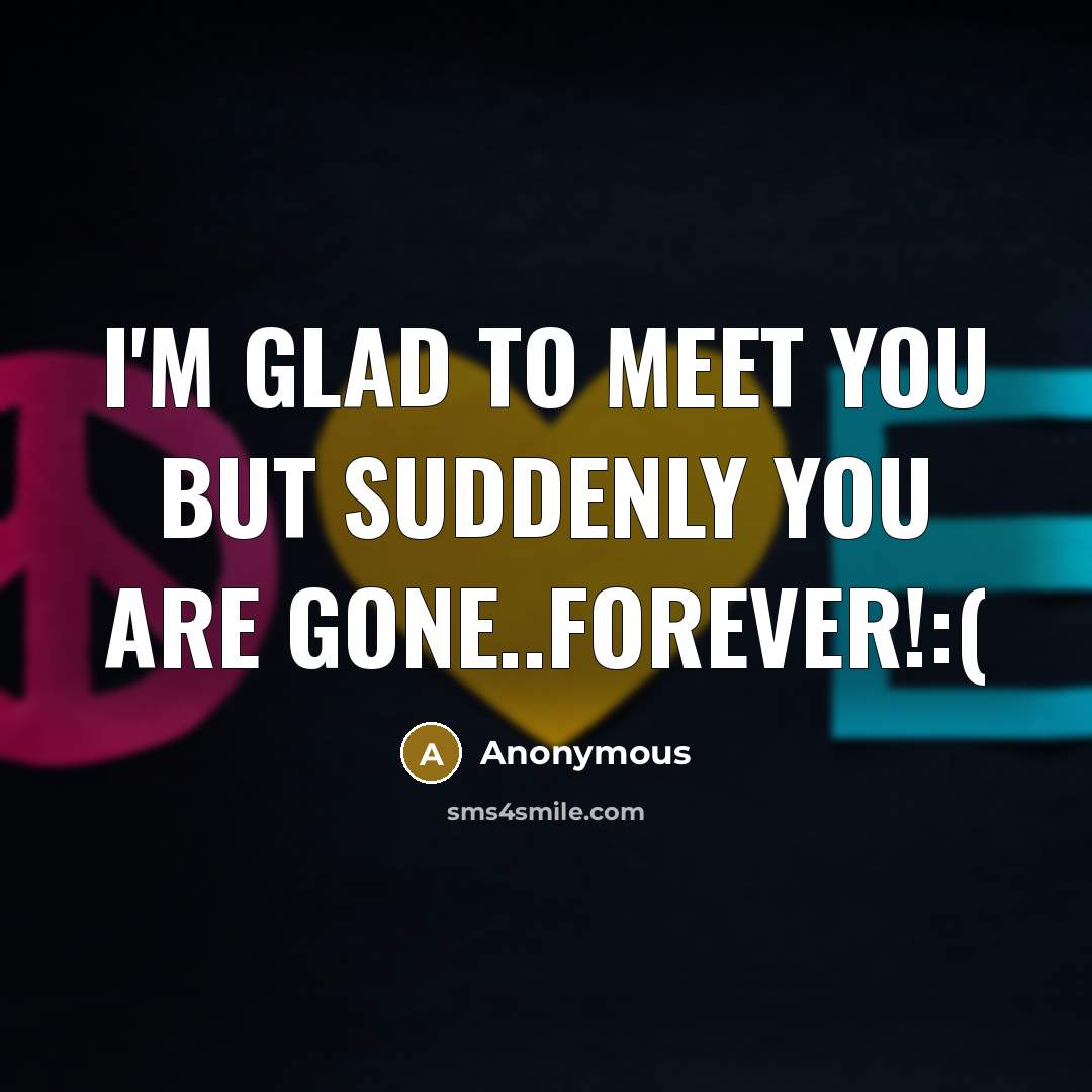 “I'm glad to meet you but suddenly you are gone..Forever!:(…” quote by Anonymous