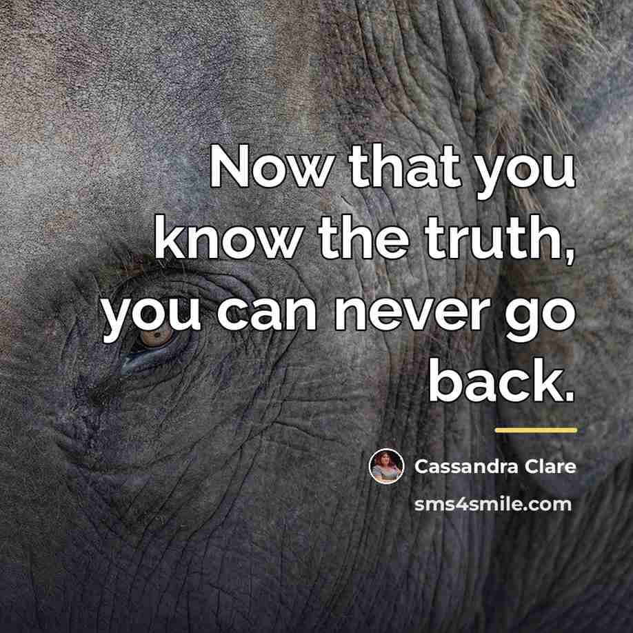“Now that you know the truth, you can never go…” quote by Cassandra Clare