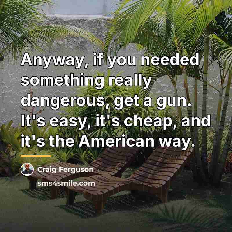 “Anyway, if you needed something really dangerous, get a gun.…” quote by Craig Ferguson
