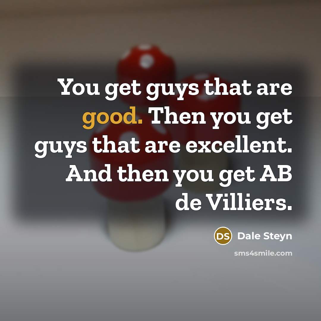 “You get guys that are good. Then you get guys…” quote by Dale Steyn