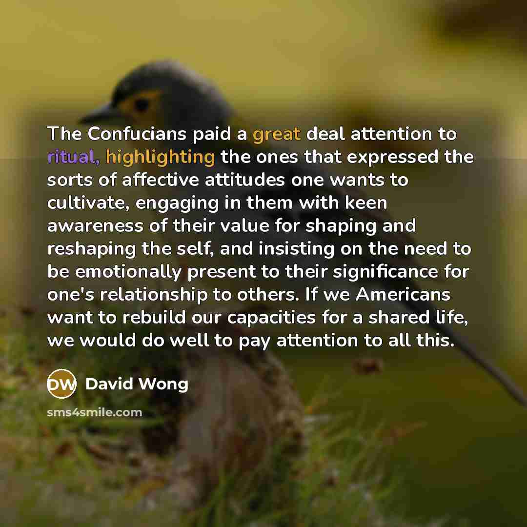 “The Confucians paid a great deal attention to ritual, highlighting…” quote by David Wong