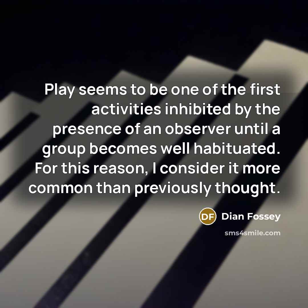 “Play seems to be one of the first activities inhibited…” quote by Dian Fossey