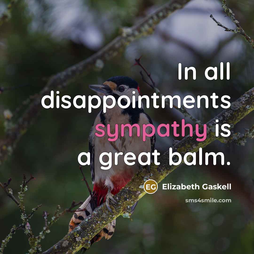“In all disappointments sympathy is a great balm.…” quote by Elizabeth Gaskell
