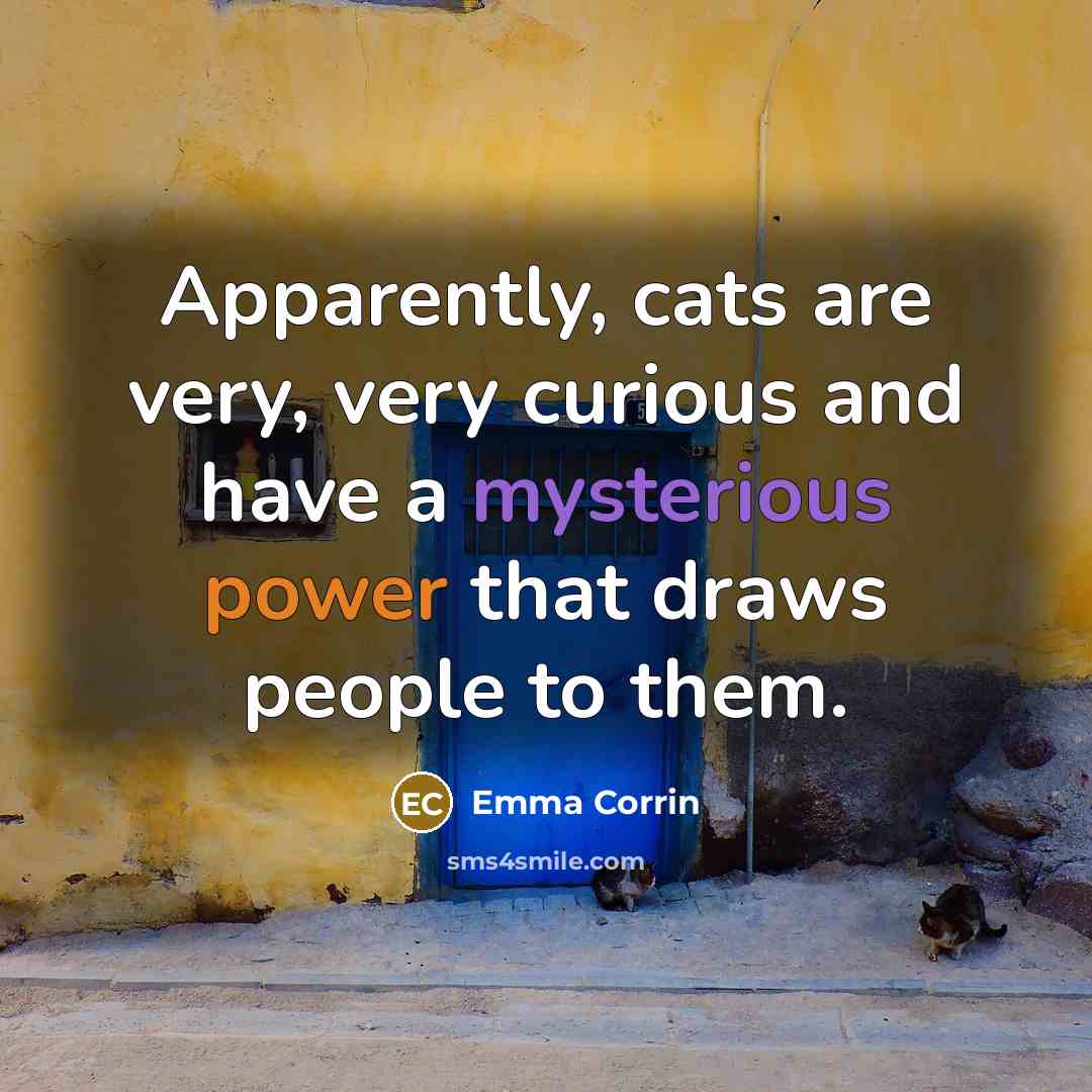 “Apparently, cats are very, very curious and have a mysterious…” quote by Emma Corrin