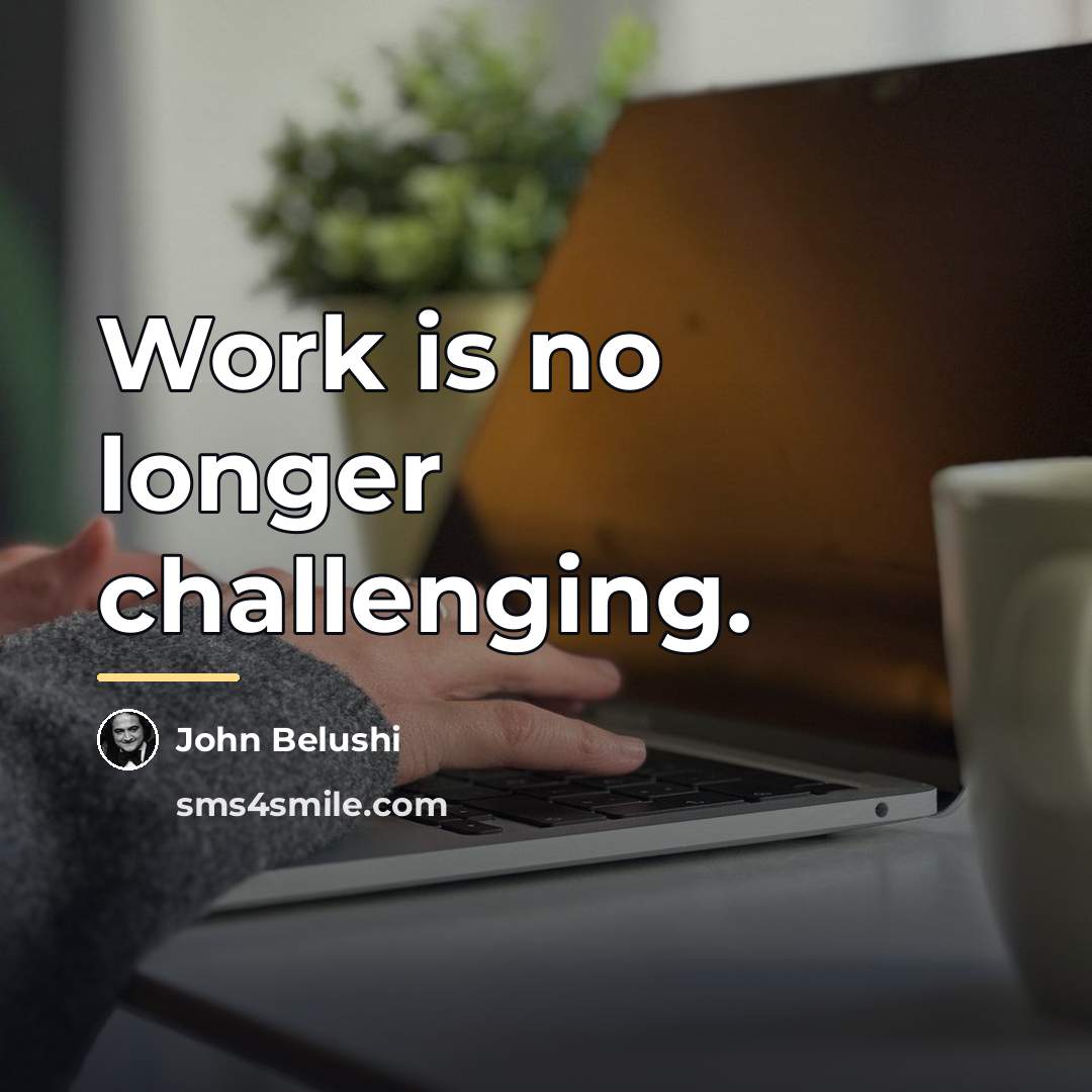 “Work is no longer challenging.…” quote by John Belushi