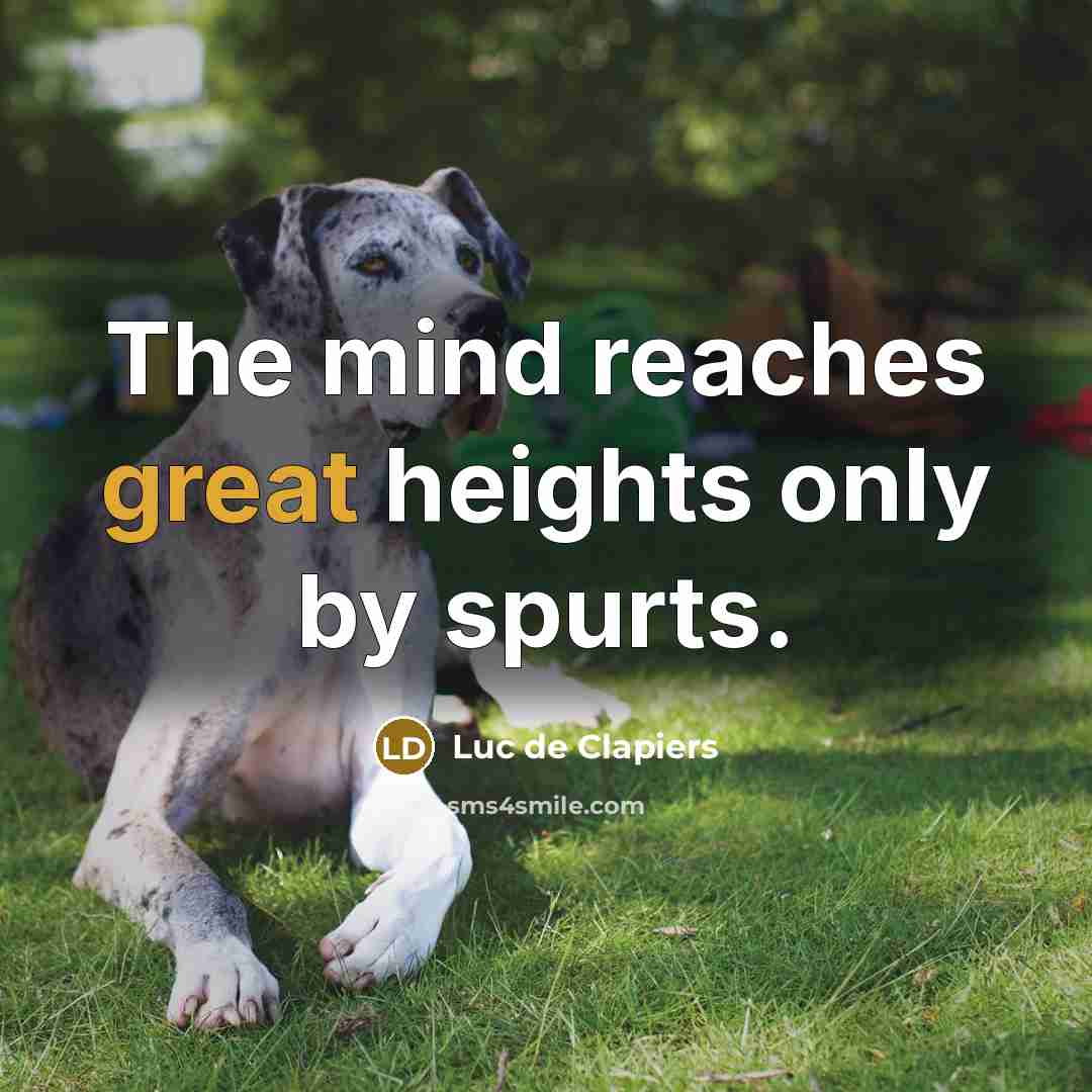 “The mind reaches great heights only by spurts.…” quote by Luc de Clapiers