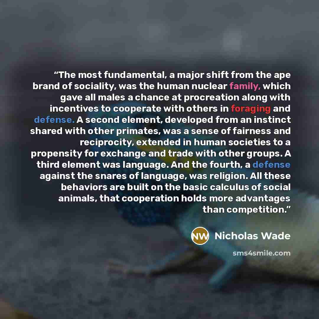“The most fundamental, a major shift from the ape brand of sociality, was the human nuclear family, which gave all males a chance at procreation along with incentives to cooperate with others in foraging and defense. A second element, developed from an instinct shared with other primates, was a…” quote by Nicholas Wade
