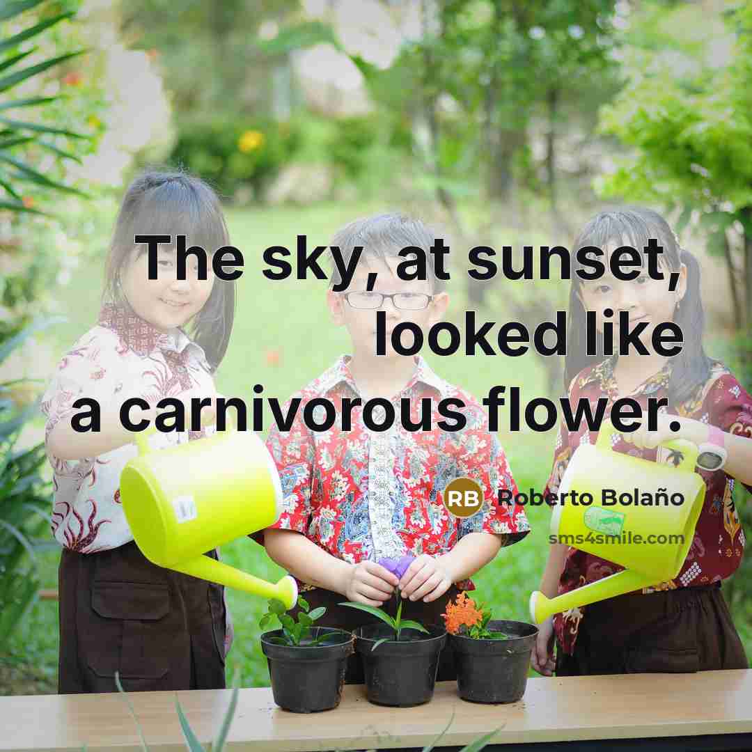 “The sky, at sunset, looked like a carnivorous flower.…” quote by Roberto Bolano