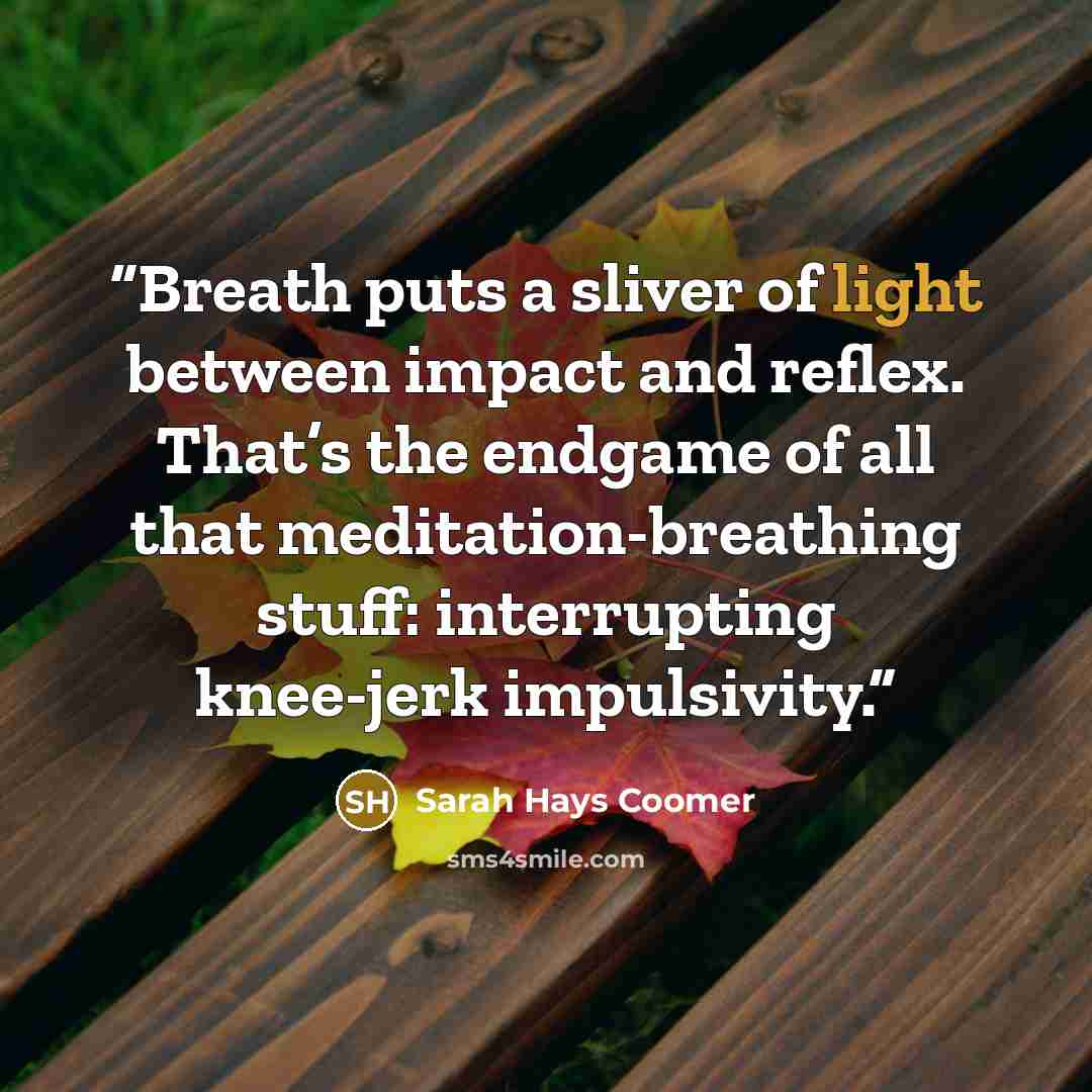 “Breath puts a sliver of light between impact and reflex. That’s the endgame of all that meditation-breathing stuff: interrupting knee-jerk impulsivity.” quote by Sarah Hays Coomer