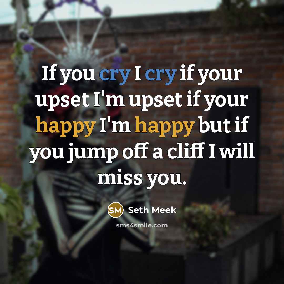 “If you cry I cry if your upset I'm upset if your happy I'm happy but if you jump off a cliff I will miss you.” quote by Seth Meek
