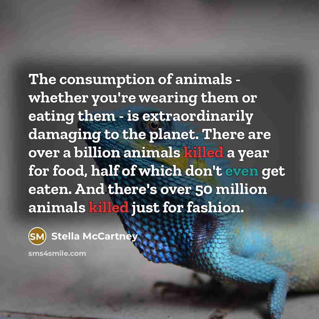 “The consumption of animals - whether you're wearing them or…” quote by Stella McCartney