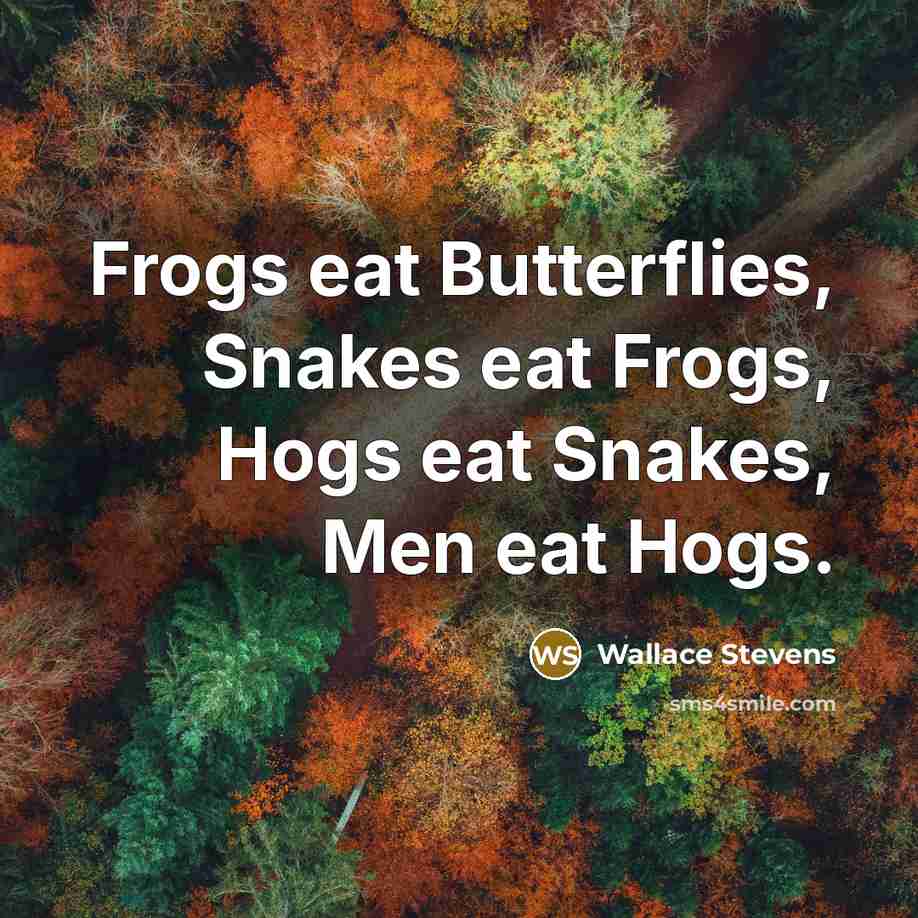 “Frogs eat Butterflies, Snakes eat Frogs, Hogs eat Snakes, Men…” quote by Wallace Stevens
